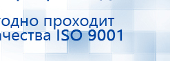 Электроды Скэнар -  двойной овал 55х90 мм купить в Таганроге, Электроды Скэнар купить в Таганроге, Дэнас официальный сайт denasdoctor.ru